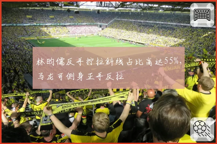 林昀儒反手拧拉斜线占比高达55%，马龙可侧身正手反拉